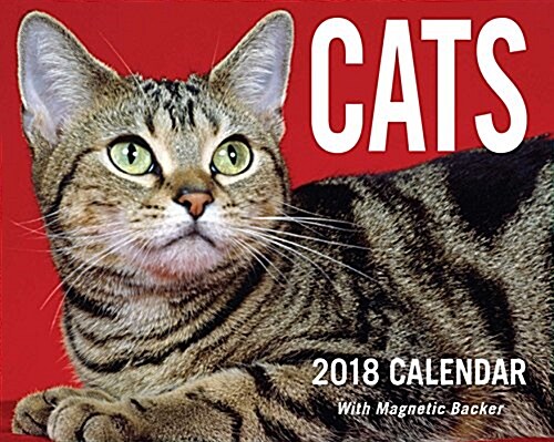 Cats 2018 Mini Day-To-Day Calendar (Daily)