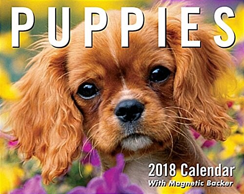 Puppies 2018 Mini Day-To-Day Calendar (Daily)