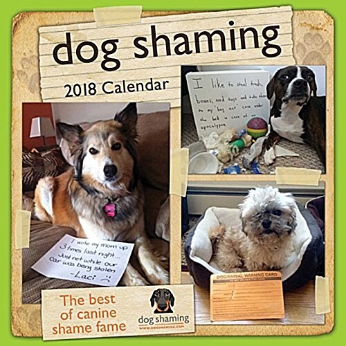 Dog Shaming 2018 Wall Calendar (Wall)