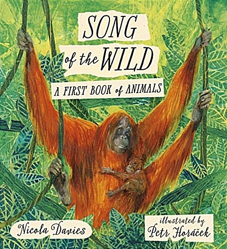 Song of the Wild: A First Book of Animals (Hardcover)