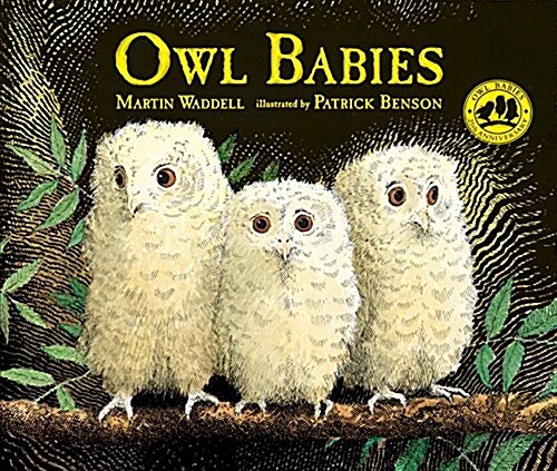 Owl Babies (Hardcover)