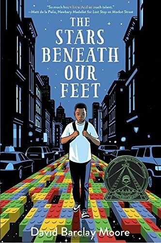 The Stars Beneath Our Feet (Hardcover)