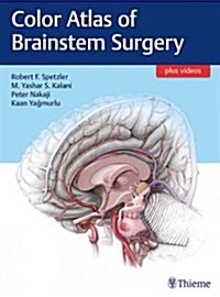 Color Atlas of Brainstem Surgery (Hardcover)