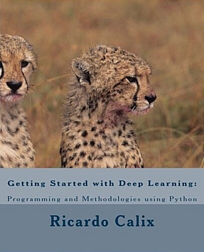 Getting Started with Deep Learning: Programming and Methodologies Using Python (Paperback)