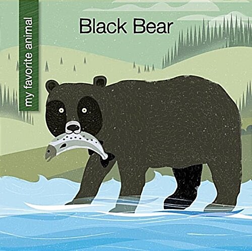 Black Bear (Library Binding)