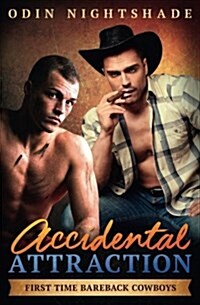 Accidental Attraction: An MM Straight to Gay Romance (Paperback)