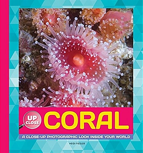 Coral: A Close-Up Photographic Look Inside Your World (Library Binding)