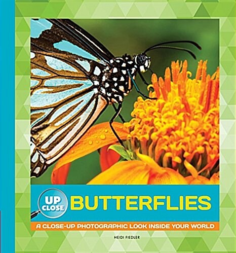 Butterflies: A Close-Up Photographic Look Inside Your World (Library Binding)
