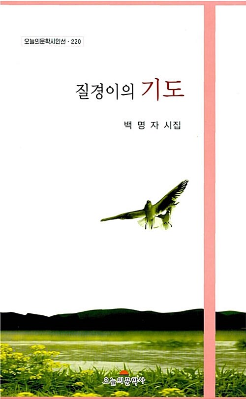 질경이의 기도