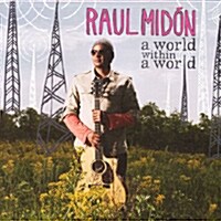 [수입] Raul Midon - A World within A World