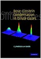Bose-Einstein Condensation in Dilute Gases