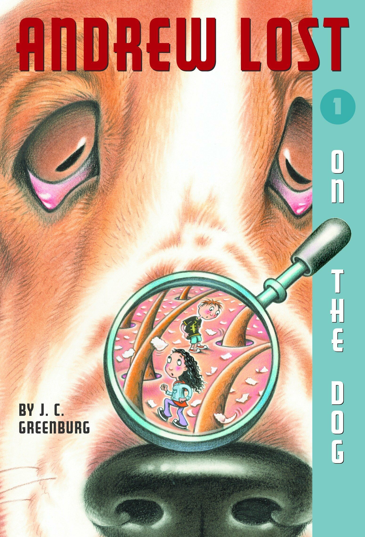 [중고] Andrew Lost #1: On the Dog (Paperback)