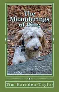 The Meanderings of Bing: A Gentle, Humorous Look at Life, Snooker, Whizzers and Other Great Philosophical Mysteries Through the Meanderings of (Paperback)