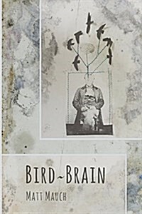 Bird Brain (Paperback)