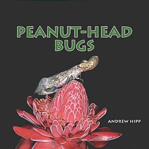 Peanut-Head Bugs (Paperback)