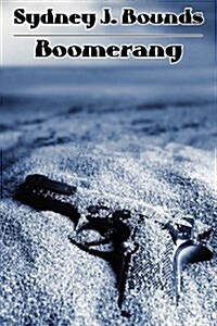 Boomerang: A Crime Novel (Paperback)