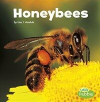 Honeybees (Paperback)
