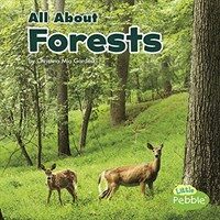 All about Forests (Paperback)