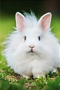Fluffy White Angora Bunny Rabbit in the Summer Meadow Journal: 150 Page Lined Notebook/Diary (Paperback)