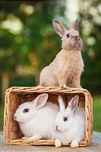 Three Bunny Rabbits and a Wicker Basket Journal: 150 Page Lined Notebook/Diary (Paperback)