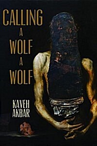Calling a Wolf a Wolf (Paperback)
