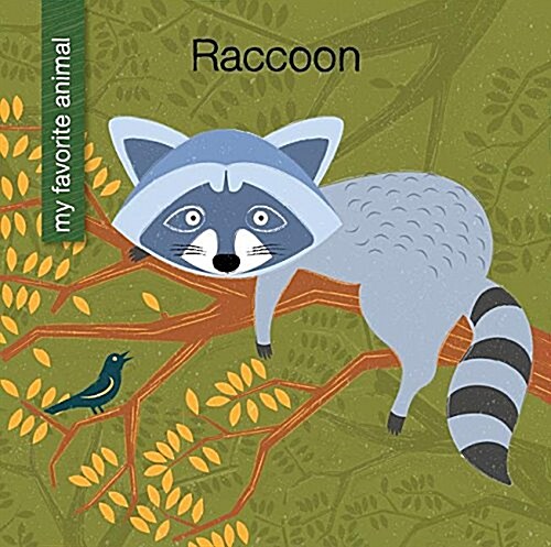 Raccoon (Paperback)