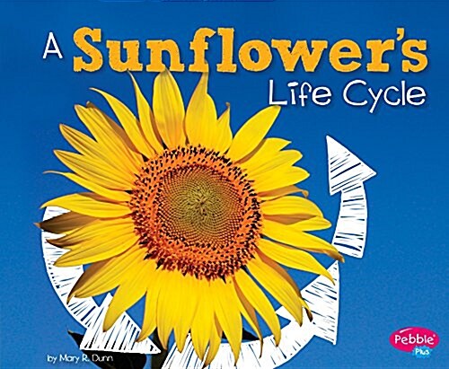 A Sunflowers Life Cycle (Hardcover)