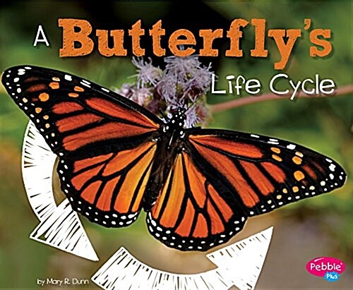 A Butterflys Life Cycle (Hardcover)