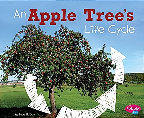 An Apple Trees Life Cycle (Hardcover)