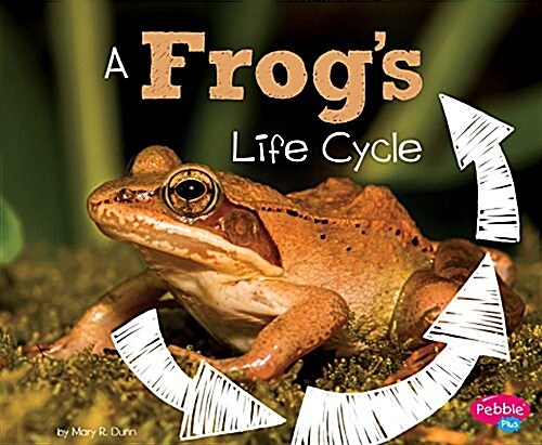 A Frogs Life Cycle (Paperback)