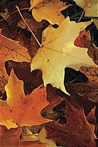 Autumn Leaves Journal (Paperback)