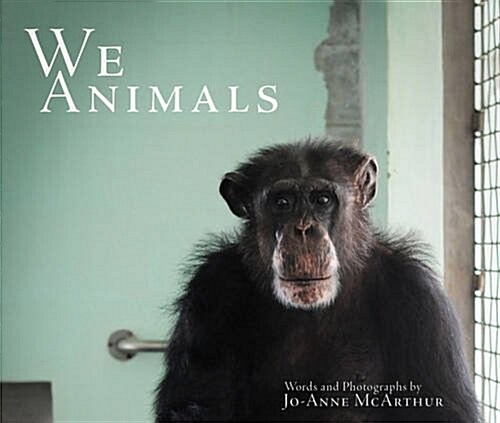 We Animals (Paperback)