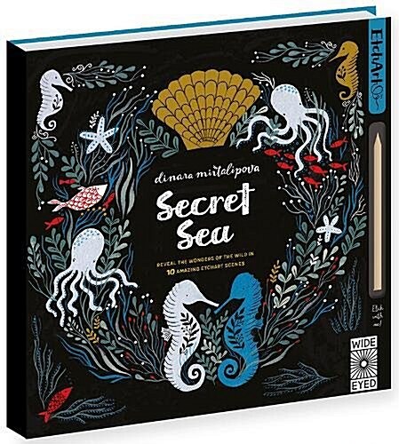 Etchart: Secret Sea (Novelty Book)