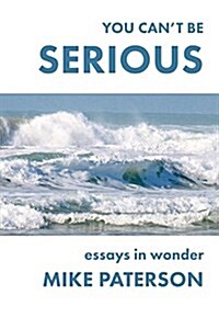 You Cant Be Serious: Essays in Wonder (Paperback)