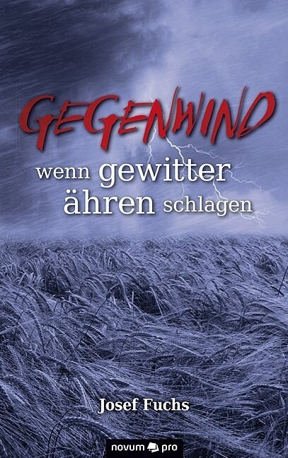 gegenwind: wenn gewitter ?ren schlagen (Paperback)