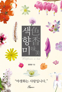 색향미 커버