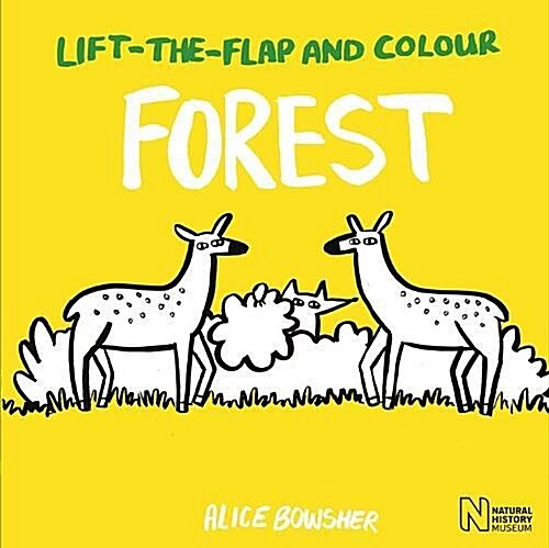 Lift-the-Flap and Colour Forest (Paperback)