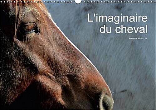 LImaginaire Du Cheval 2017 : Regard Abstrait Sur Le Cheval (Calendar)