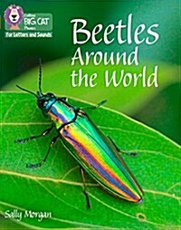 Beetles Around the World : Band 06/Orange (Paperback)
