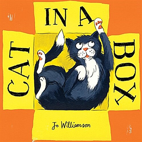 Cat in a Box (Hardcover)