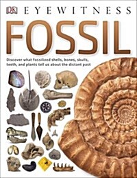Fossil (Paperback)