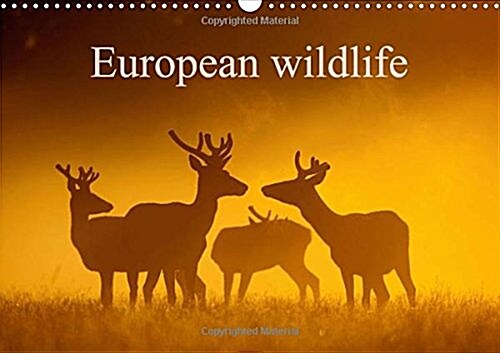 European Wildlife 2018 : The Beauty of Wild Animals Living in Europe (Calendar)