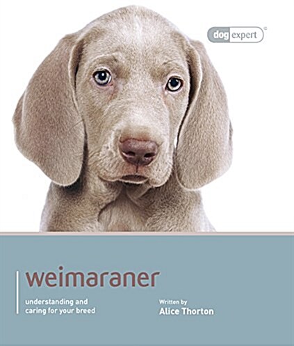 Weimaraner : Dog Expert (Paperback)