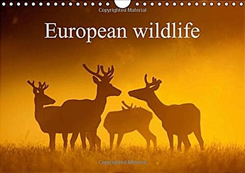 European Wildlife 2018 : The Beauty of Wild Animals Living in Europe (Calendar)