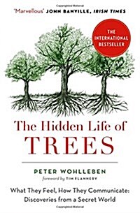 The Hidden Life of Trees : What They Feel, How They Communicate (Paperback)