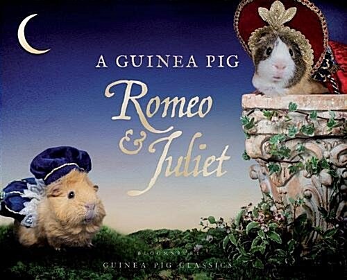 A Guinea Pig Romeo & Juliet (Hardcover)
