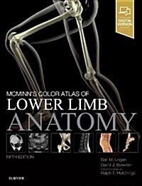 McMinns Color Atlas of Lower Limb Anatomy (Hardcover, 5 ed)