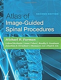 Atlas of Image-Guided Spinal Procedures (Hardcover, 2)