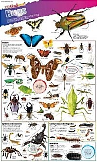 Dkfindout! Bugs Poster (Wallchart)