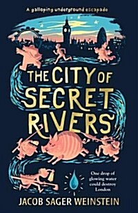 The City of Secret Rivers (Hardcover)